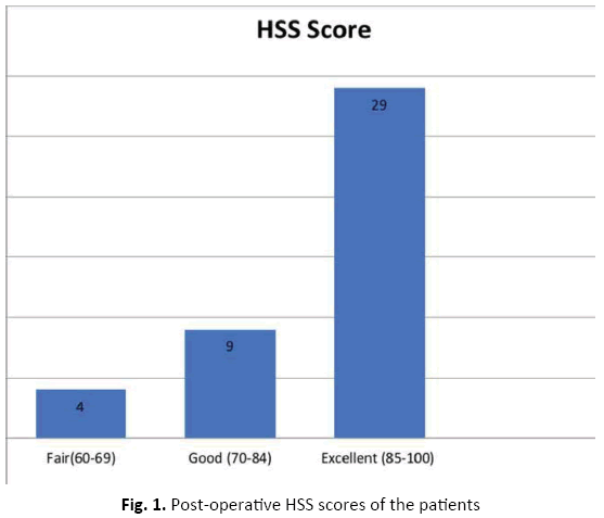 Orthopaedics-Trauma-Surgery-Related-Research-HSS-scores
