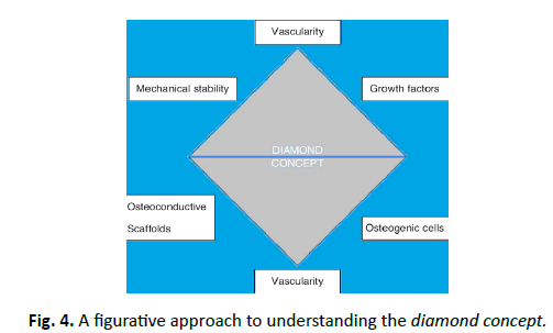 Orthopaedics-Trauma-Surgery-Related-Research-diamond-concept