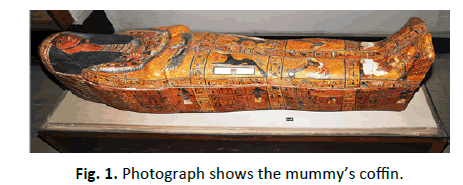 Orthopaedics-Trauma-Surgery-Related-Research-mummy-coffin