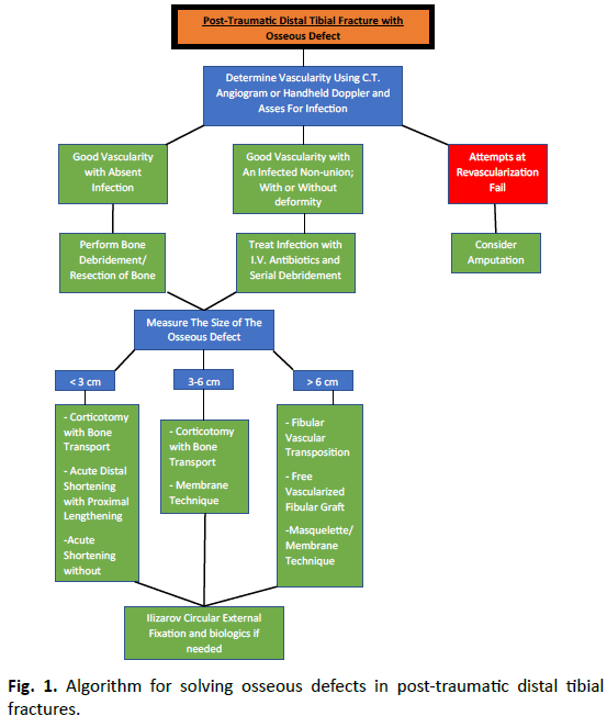 Orthopaedics-Trauma-Surgery-Related-Research-solving-osseous-defects